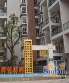 尚林家园1室1厅东南