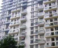 尚林家园 2室1厅 南