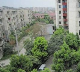 交大北园3室1厅东南