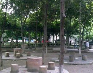 交大北园3室1厅东南南