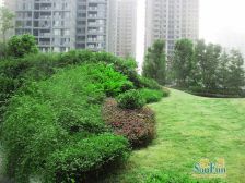 佣金3666元 鹅岭 凤凰台一房26万