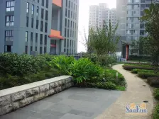 鹅岭 凤凰台一房38万