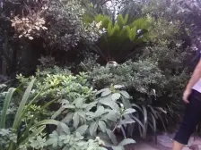 石坪桥菜市场正规两房 楼层好 业主诚心出售 随时看房