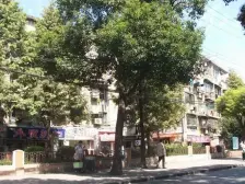 彭浦·彭浦新村彭**区·2室·1厅