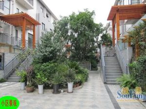 贵通御苑枫景4室2厅北