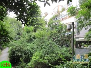 贵通御苑枫景3室1厅南
