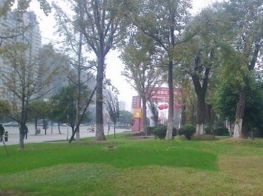 小区相关图