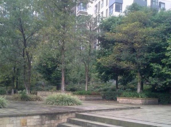 小区相关图