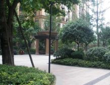 神仙树馨苑 2室1厅 南