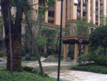 神仙树馨苑 2室1厅 东南