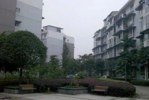 新桥丽景A区2室2厅西北
