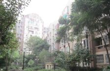 柳城阳光3室2厅南