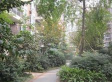 柳城阳光3室2厅东南