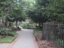 柳城阳光1室1厅西北