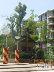 东麓驿境二期2室1厅西南