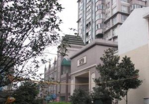 金巴黎 1室1厅 东南