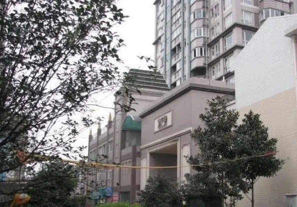 金巴黎实景图