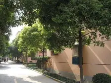 南北两房边套全明户型 总价低 采光视野好