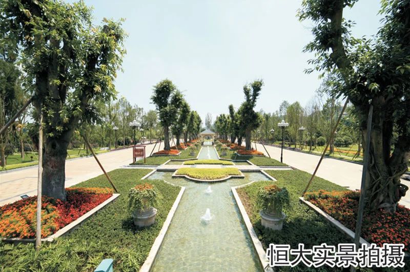 小区相关图