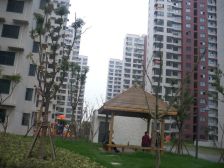 诚意出售看房方便,