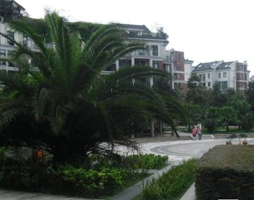 永福公寓实景图