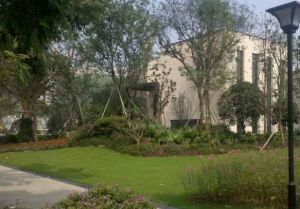 招商雍华府二期 3室1厅 南