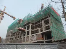 农业园区 隆鑫鸿府四房190万