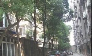 江大南路19号劳动厅宿舍 南北通透,采光好 装修好,环镜优美 近地铁 视野好,诚心出售