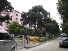 华建一街坊 1室1厅 南