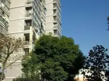 12号地铁旁品质小区南边通三房