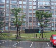 装修大几十万中间位置房东诚意出售看房随时两套一起卖