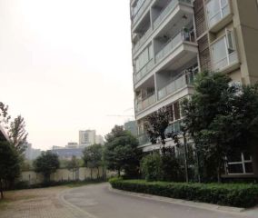 紫东梵谷2室1厅西北