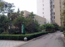 紫东梵谷 2室1厅 东南