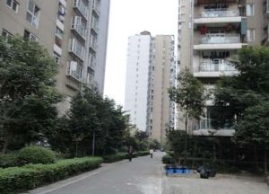 紫东梵谷2室1厅东南