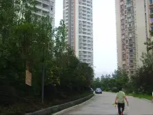 正规一室一厅,小区配套设施成熟,出行方便.