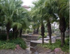 市桥怡乐园,朝南高楼层,带花园,采光极佳!业主诚售,随时看房,不容错过!