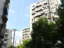 寿一小区 1室2厅 南