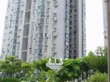 鑫隆花园+高楼层大三房+全明户型采光好