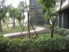 此房户型方正,朝向好,楼栋好,业主诚心出售