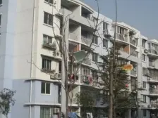 健身楼层~采光贼好~无楼上噪音打扰~纯毛坯