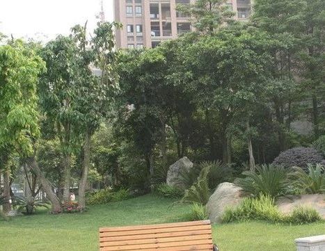 小区相关图