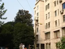 金杨·罗山三村-德平路143弄·2室·1厅