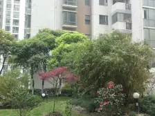 近地铁 无抵押 毛坯 电梯房 新上房源