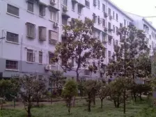 复式的格局,中间的位置,无遮挡的视野。值得一选