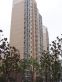群星苑二区商住楼实景图