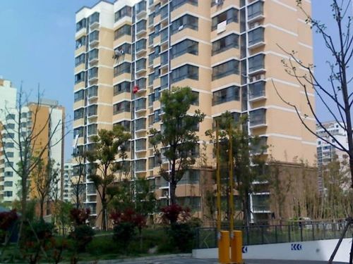 群星苑二区商住楼实景图