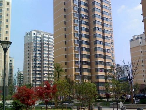 群星苑二区商住楼实景图