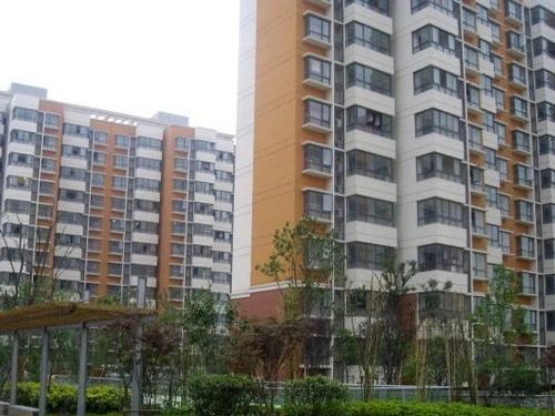 群星苑二区商住楼实景图