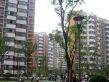 群星苑二区商住楼实景图