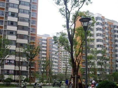 群星苑二区商住楼实景图